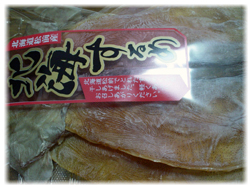 スルメ