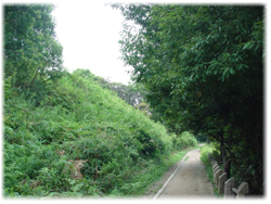 陶器山２