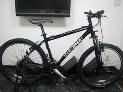 LOUIS GARNEAU XC CASPER