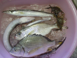 反対車線は大渋滞